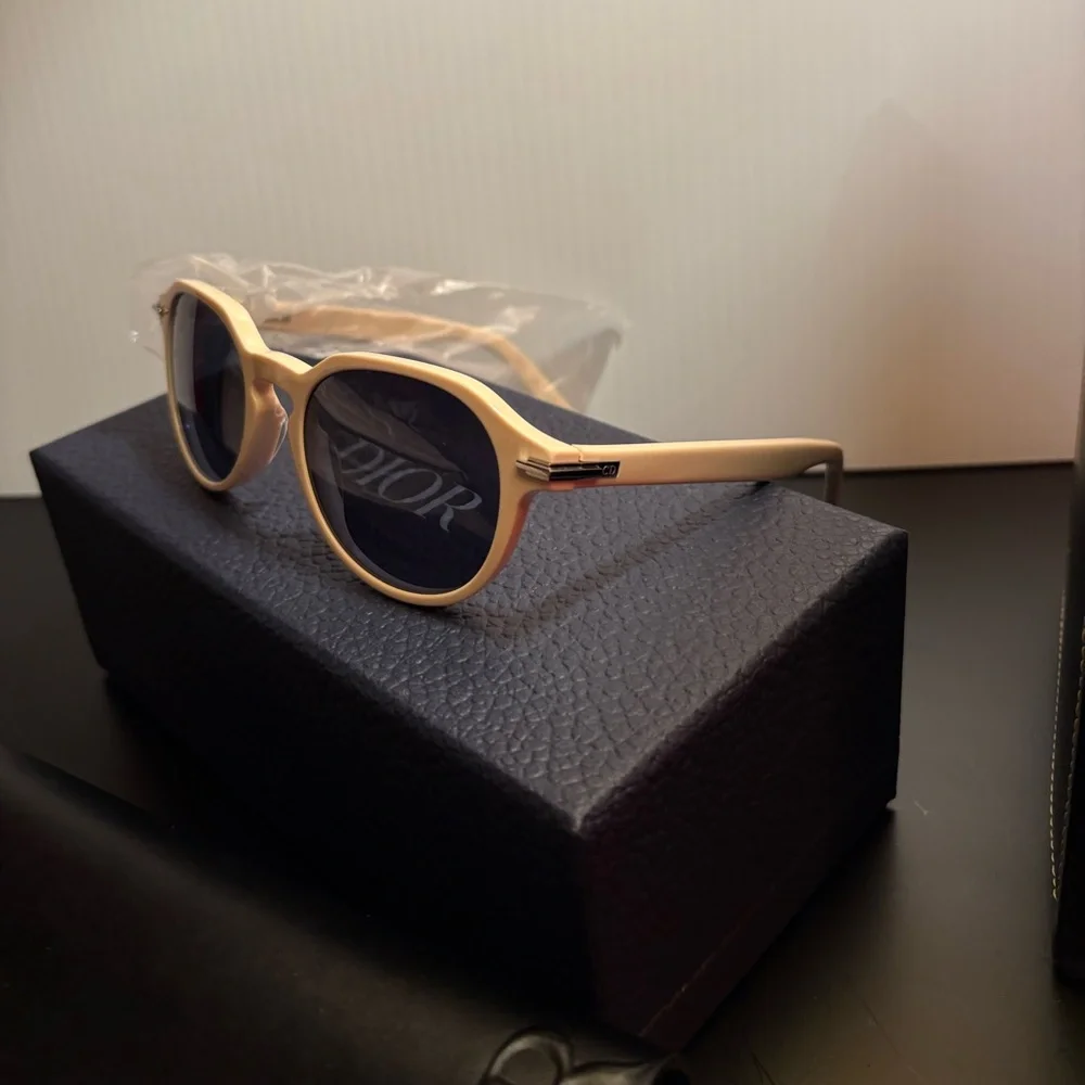 DIOR Blacksuit R2I Ivory Sunglasses